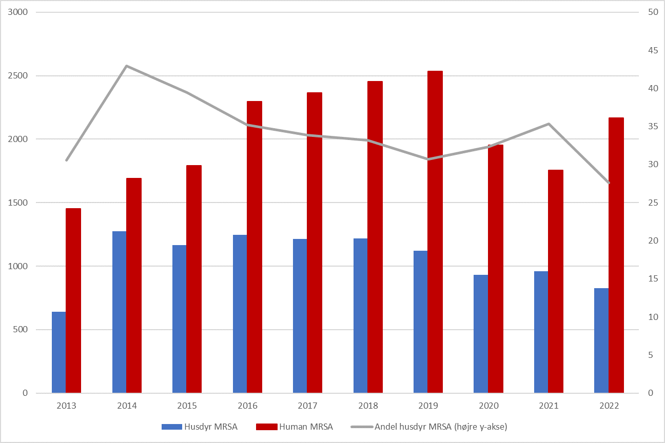 Figuren viser udviklingen af husdyr-MRSA og andre MRSA typer (humane-MRSA) 2013-2022